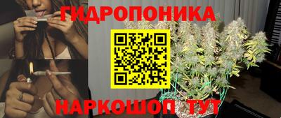 spice Свободный