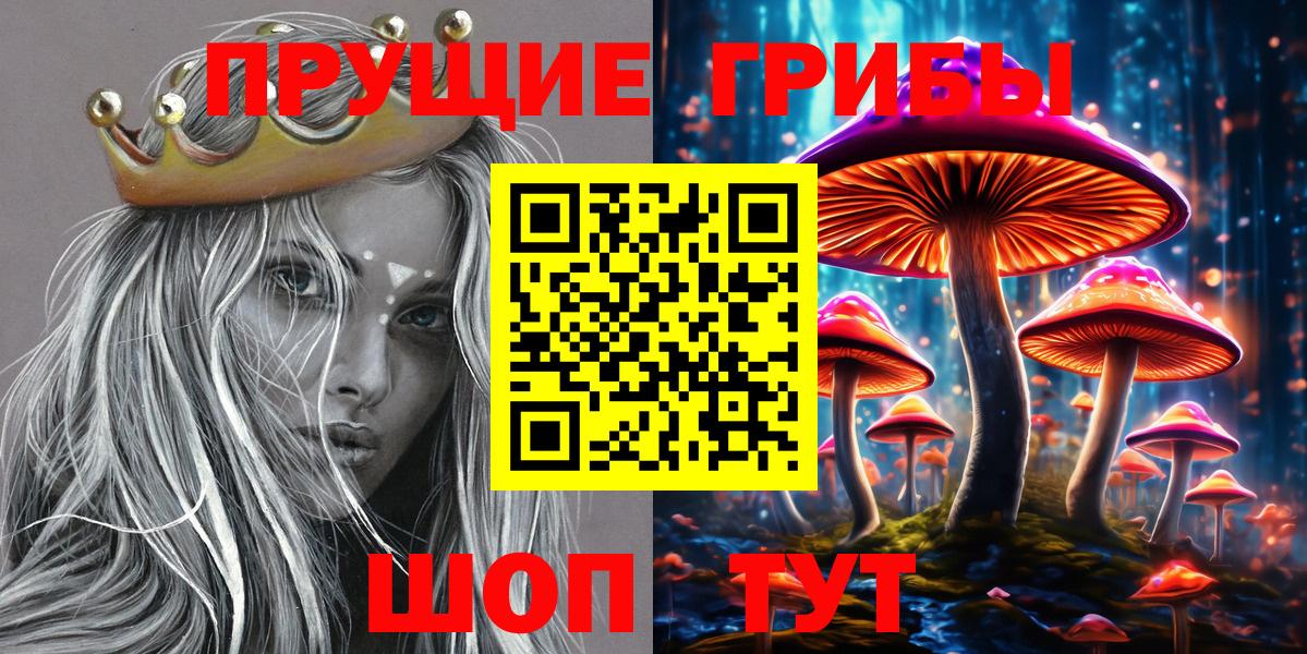 Ртищево  купить  сайты  Вход с VPN  Псилоцибиновые грибы Cubensis 