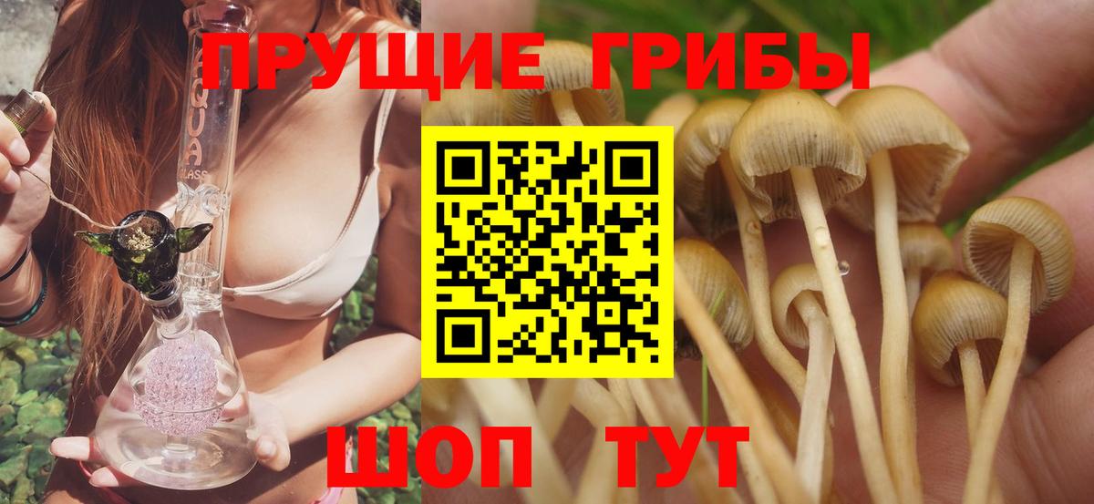 Псилоцибиновые грибы ЛСД Ртищево